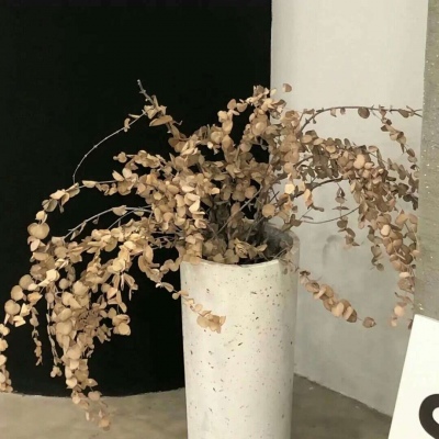 兽设治愈风格绘画福瑞群